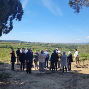 Valpolicella Wine Tour: visit and tastings in 2 wineries