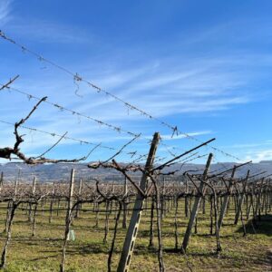 Valpolicella and Lugana wine areas in one touch