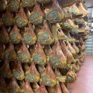 Italy food factory tour