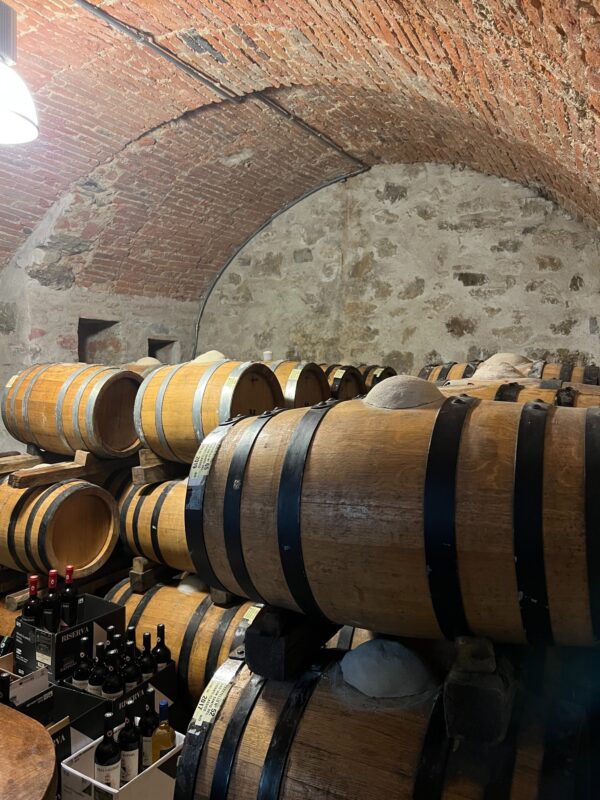 wine cellar tour chianti