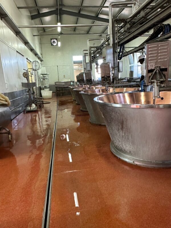 Bologna Parmesan cheese factory tour