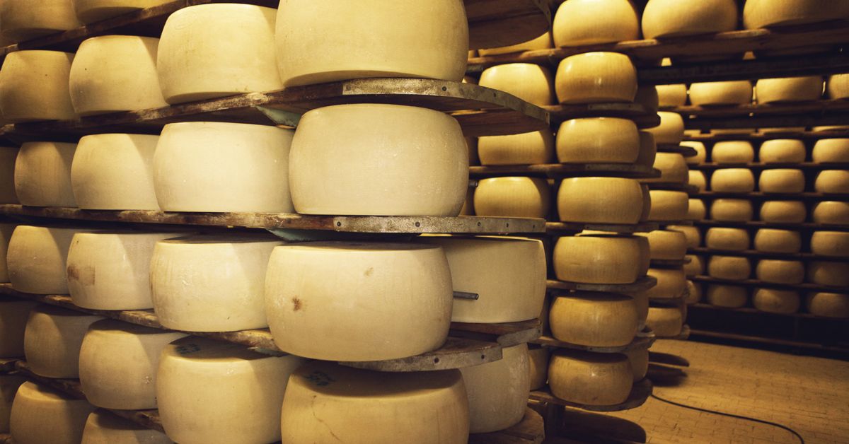 Best Cheese Tour in Italy - Parmigiano and beyond