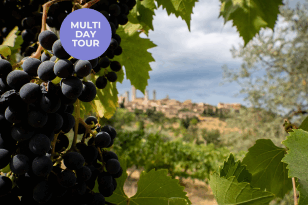 3 Days in Chianti_ A Relaxing Getaway with Wine, Views, and Tranquility