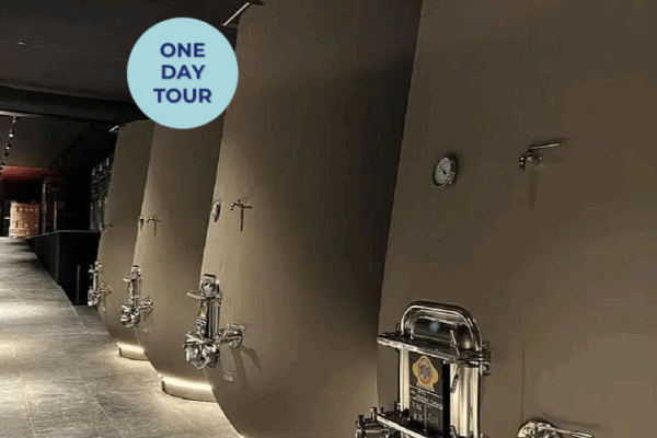 Amarone Wine Tour with 2 Wineries, Lunch and Private Transfer