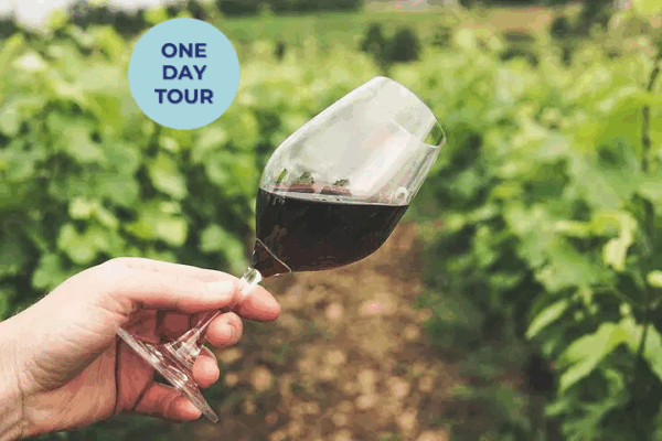 Chianti Wine Tasting Tour (3 Cellars) with Lunch & Transfer