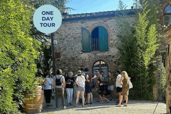 Chianti Wine Tasting Tour from Florence_ San Gimignano & Vineyards