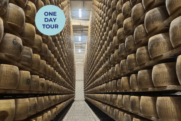 Ferrari Museum Tour from Florence + Parmesan, Wine & Balsamic Experiences