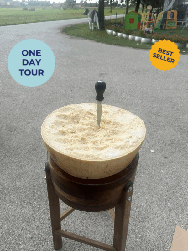 Modena cheese tour from Bologna + Balsamic Vinegar Tour + Lunch