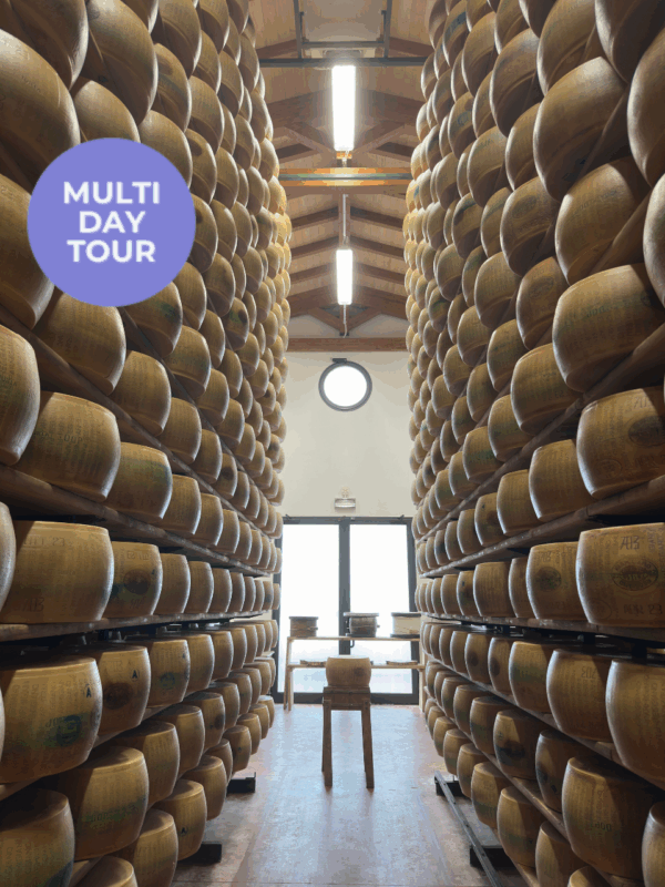 One Week Italy Wine and Food Tour_ Tuscany, Emilia-Romagna & Veneto