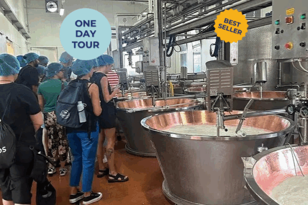 Parmesan Cheese Tour Modena_ Ferrari Museum, Lambrusco (Lunch with Transfer)